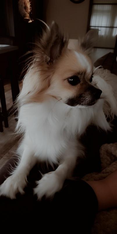 Jax