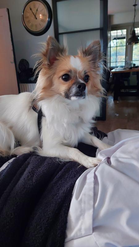 Jax