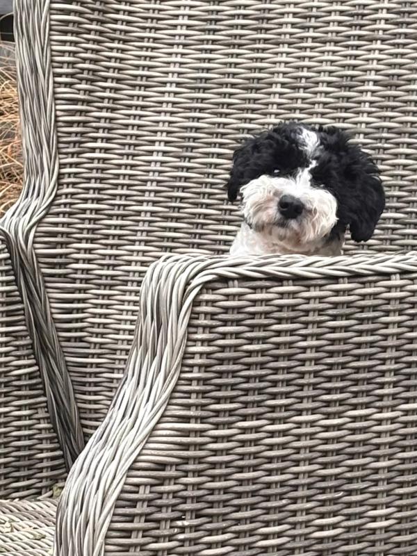 Teun