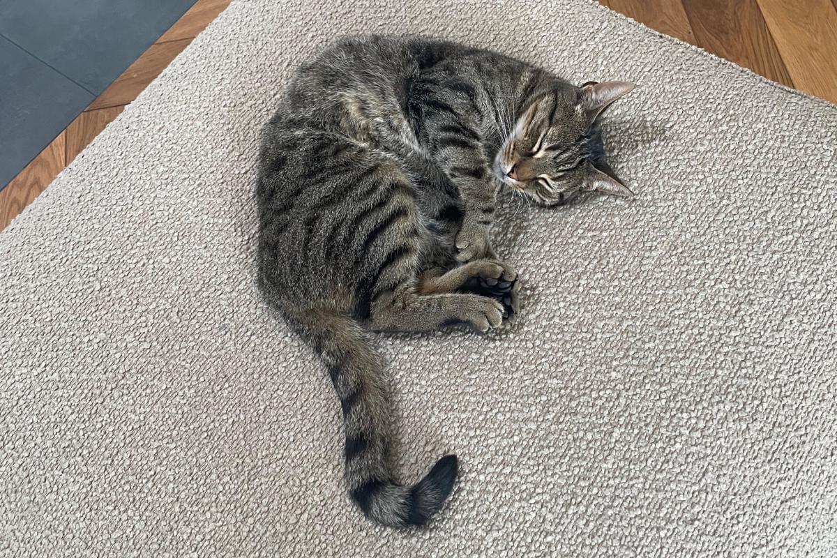 Mufasa