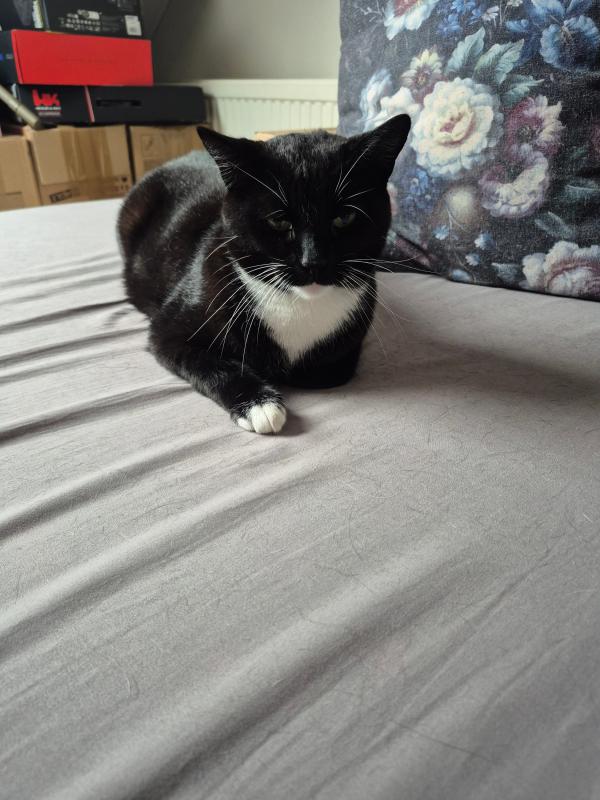 Bobbie