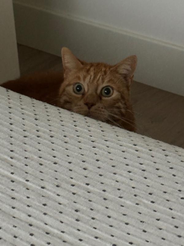 Zoë
