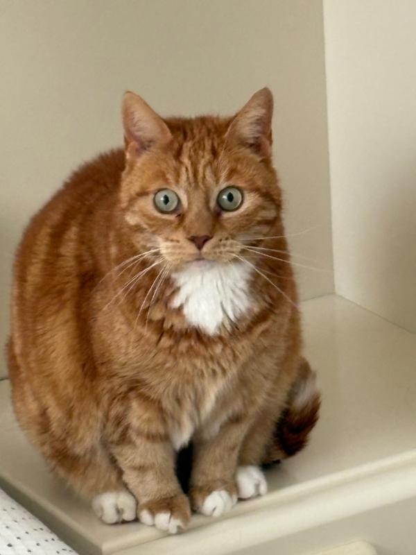 Zoë