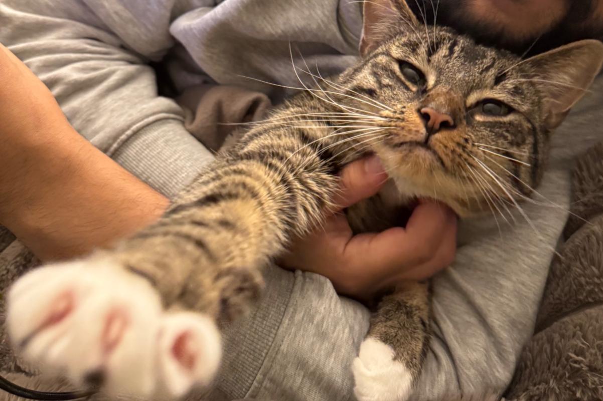 Pablo