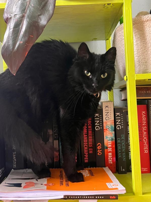 Boo