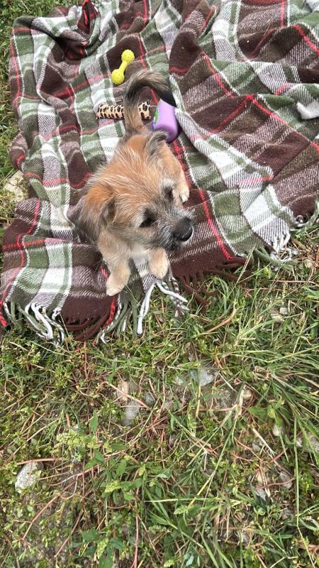 Penny