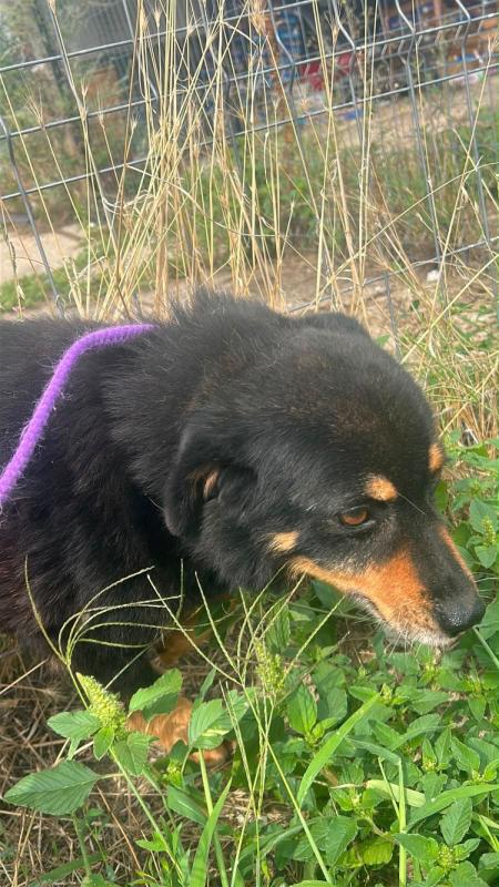 Murphy