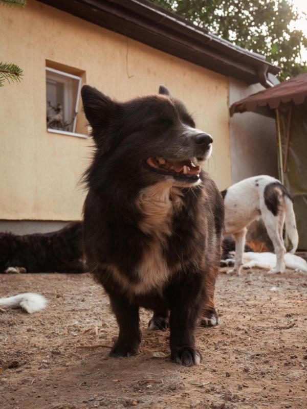 Gorky