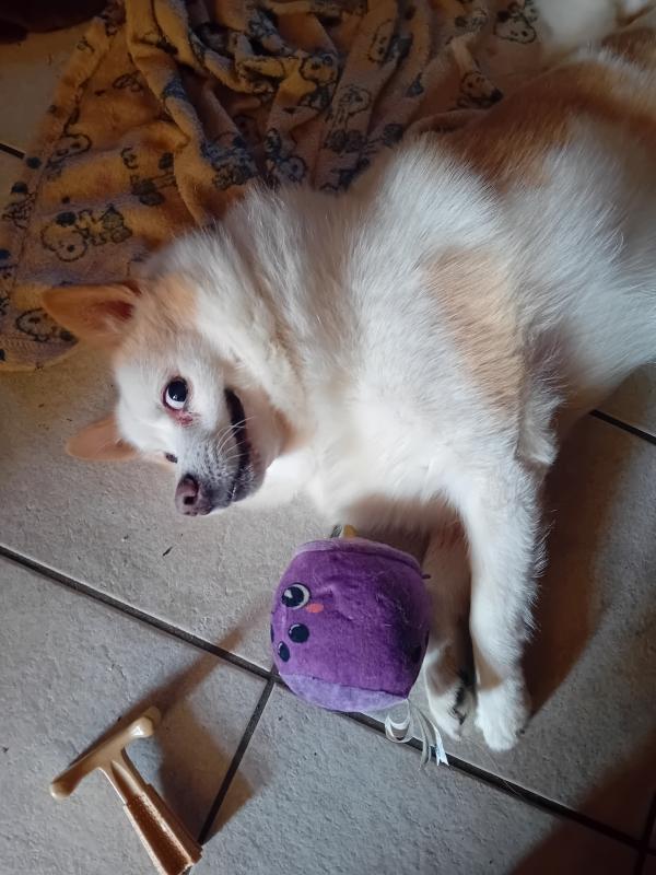 Binky