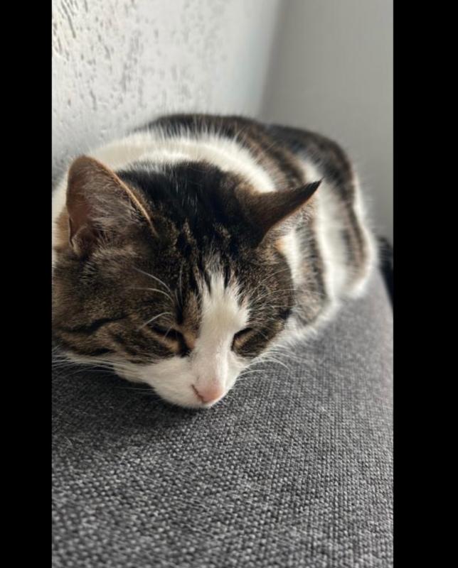 Marley