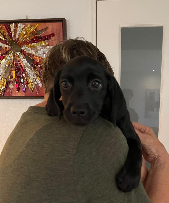 Elsa