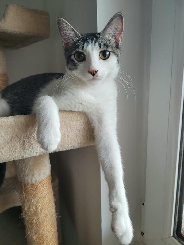 Piero