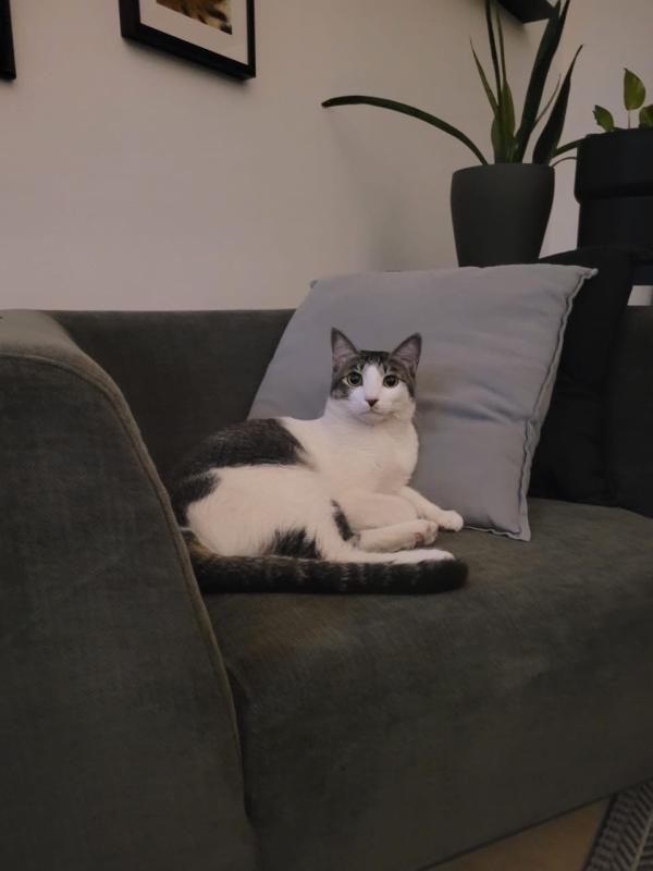 Piero