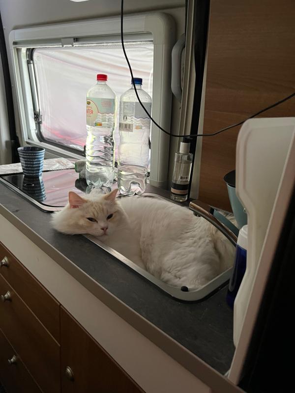 Mika