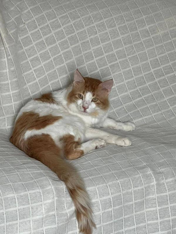Rusty