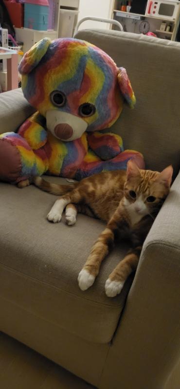 Bumba