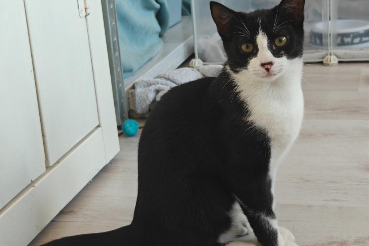 Droppie
