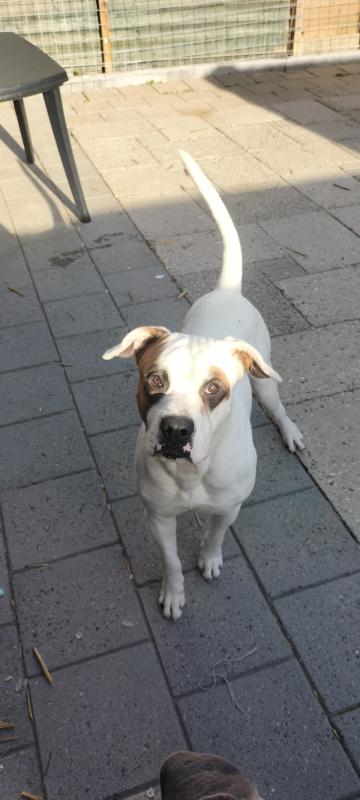 Marley