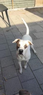 Marley