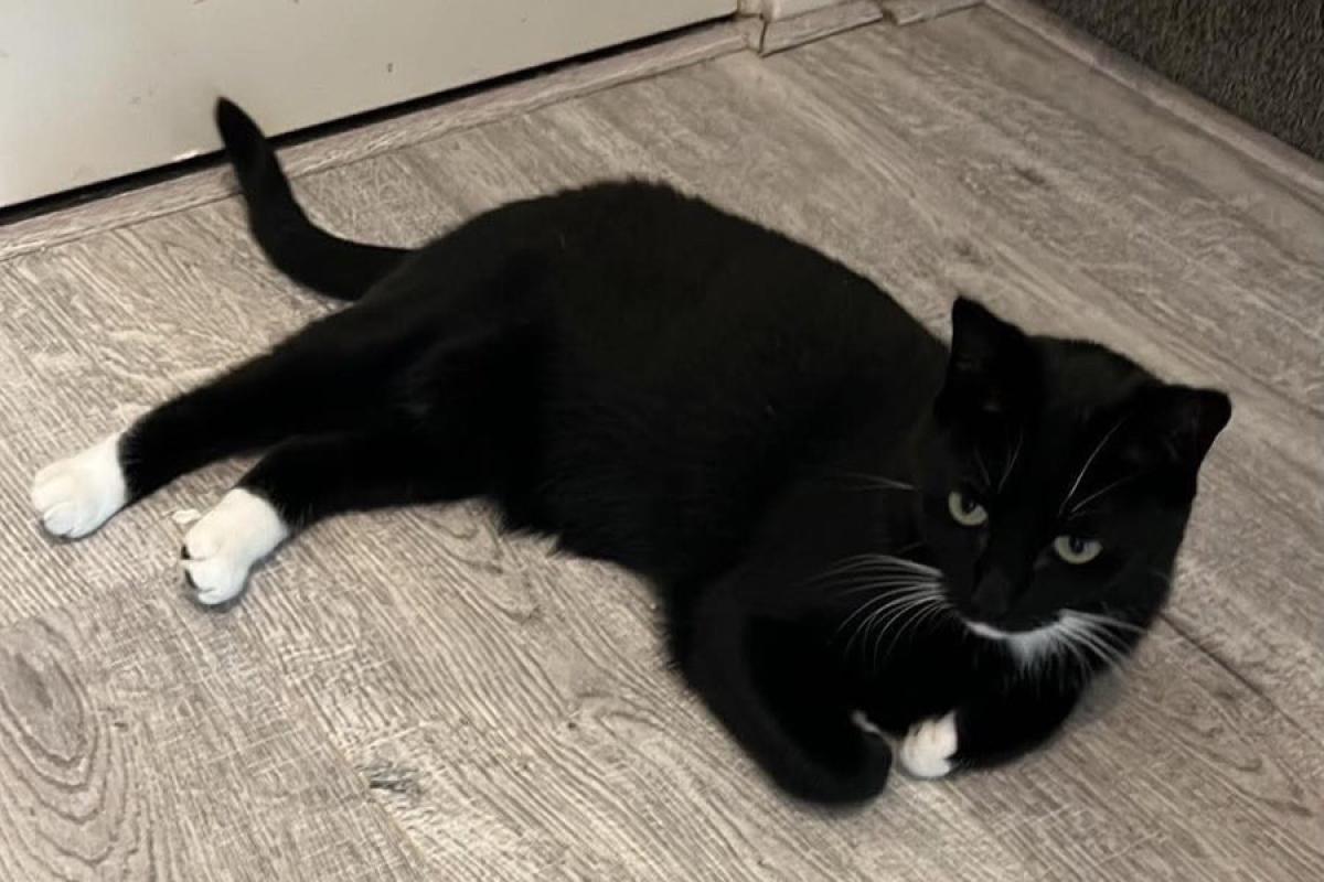 Coco