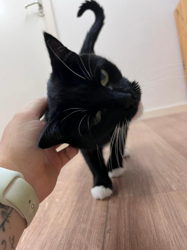 Coco