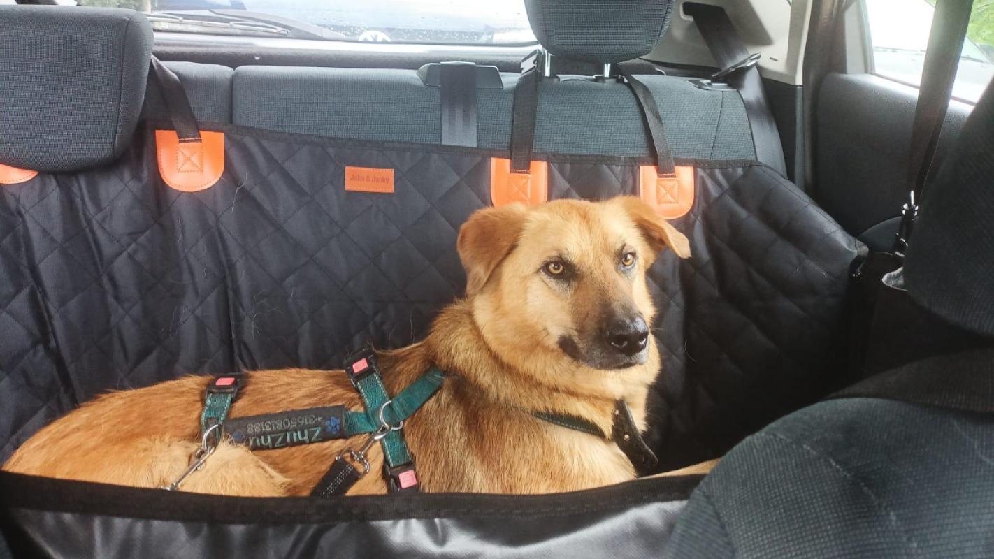Junior