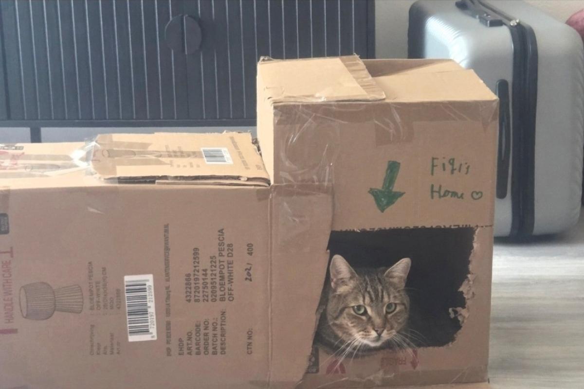 Figaro