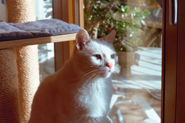 Casper / Beyazit