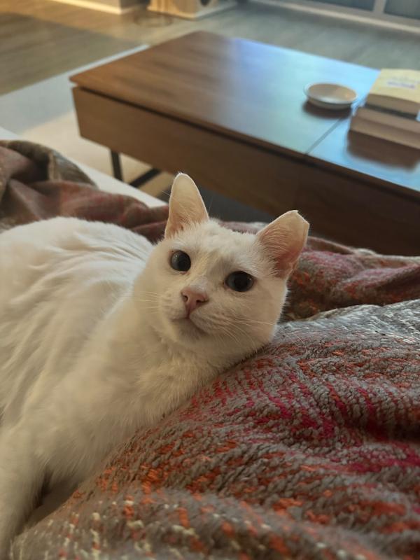Casper / Beyazit