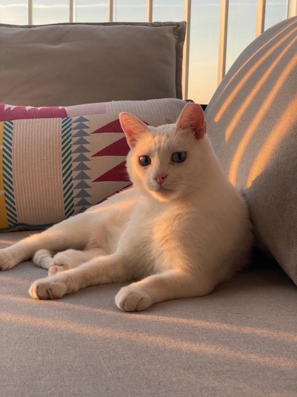 Casper / Beyazit