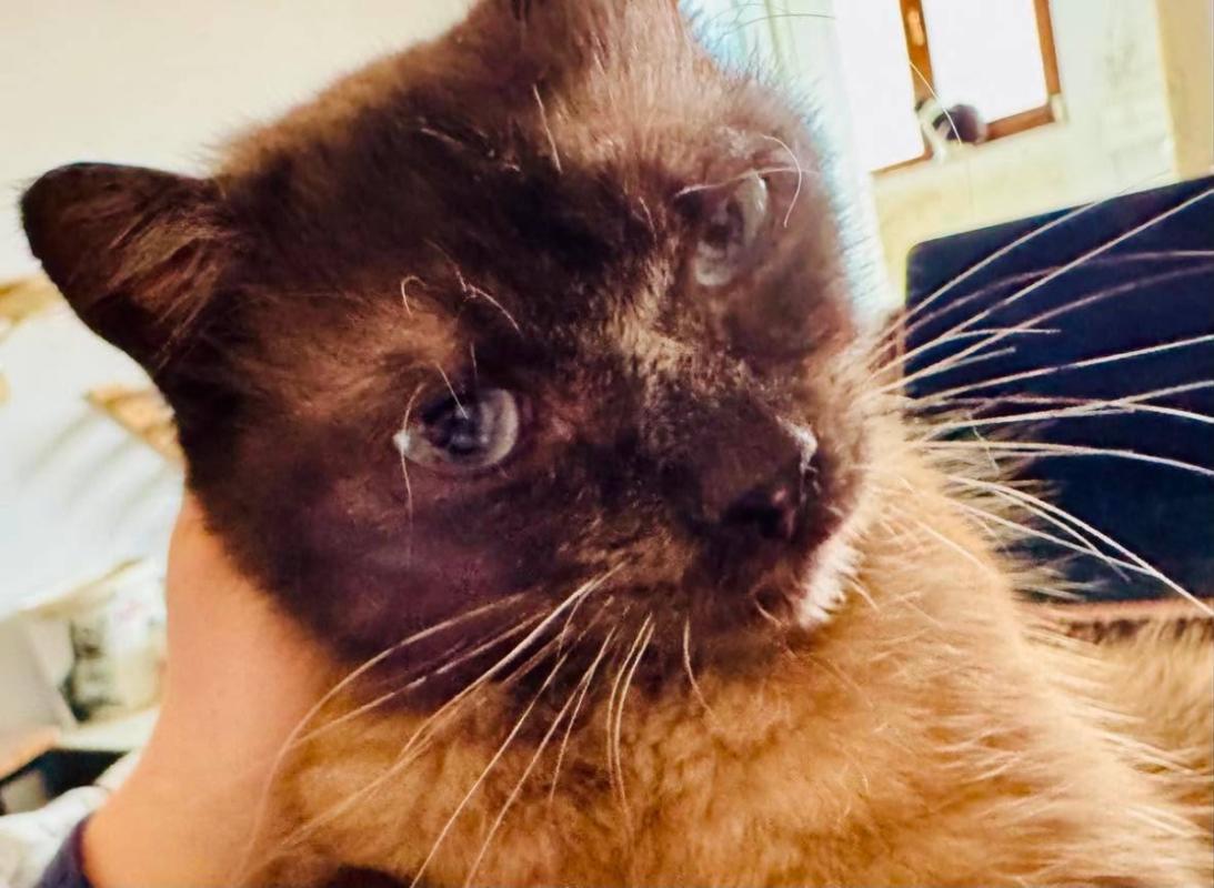 Salem