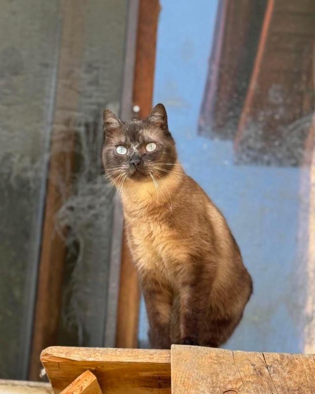 Salem
