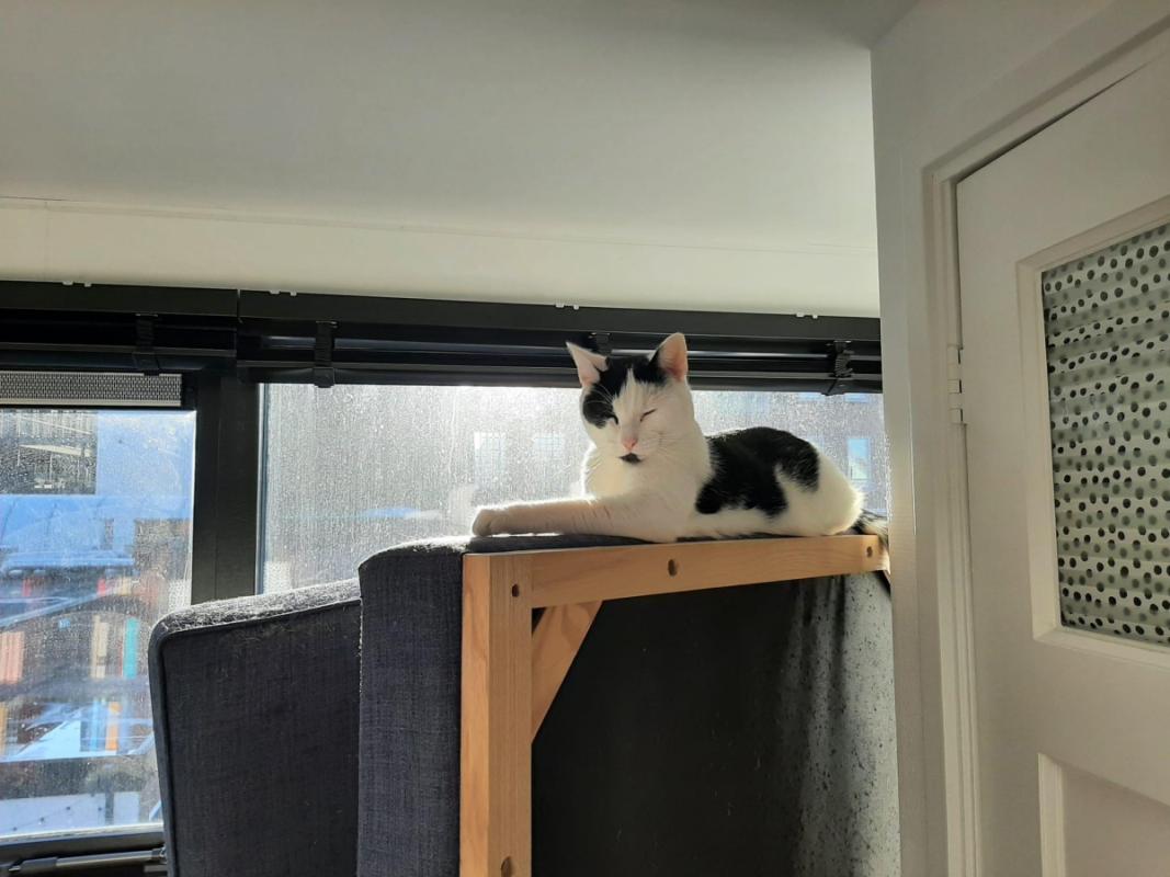 Luna