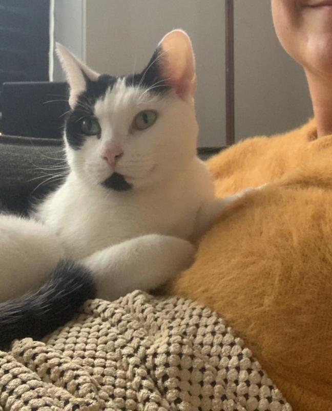 Luna