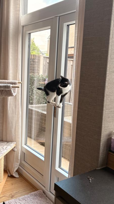 Pip