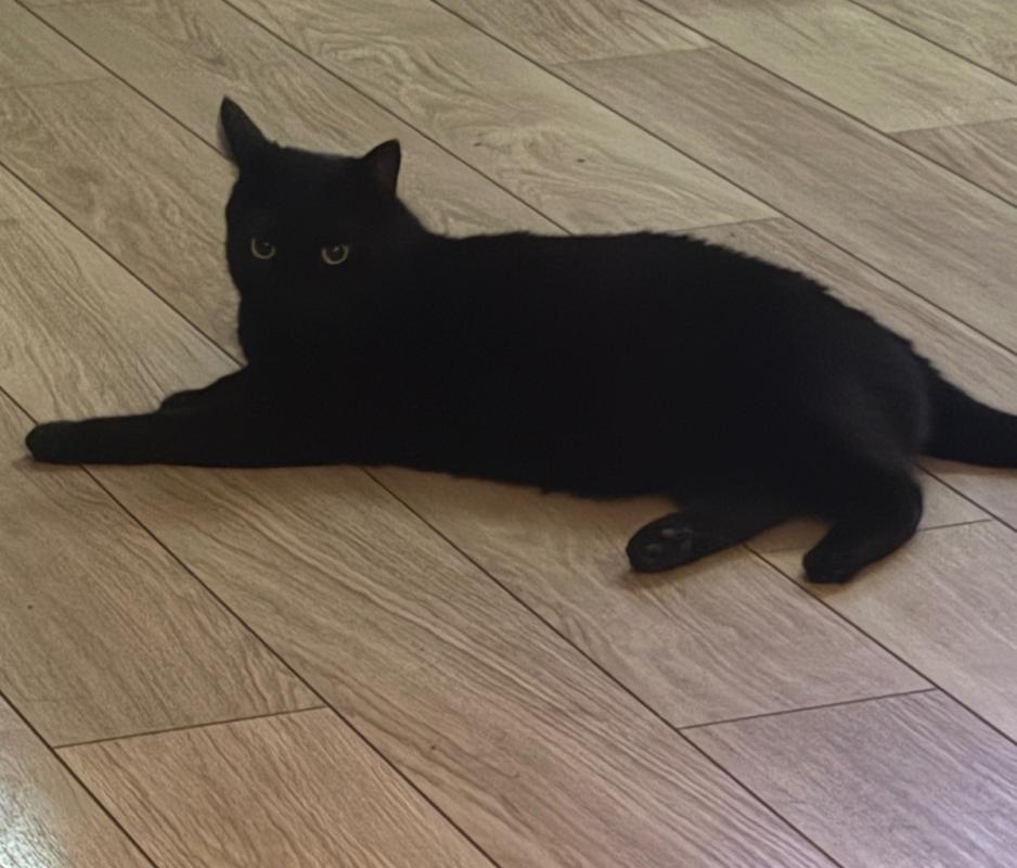 Coco