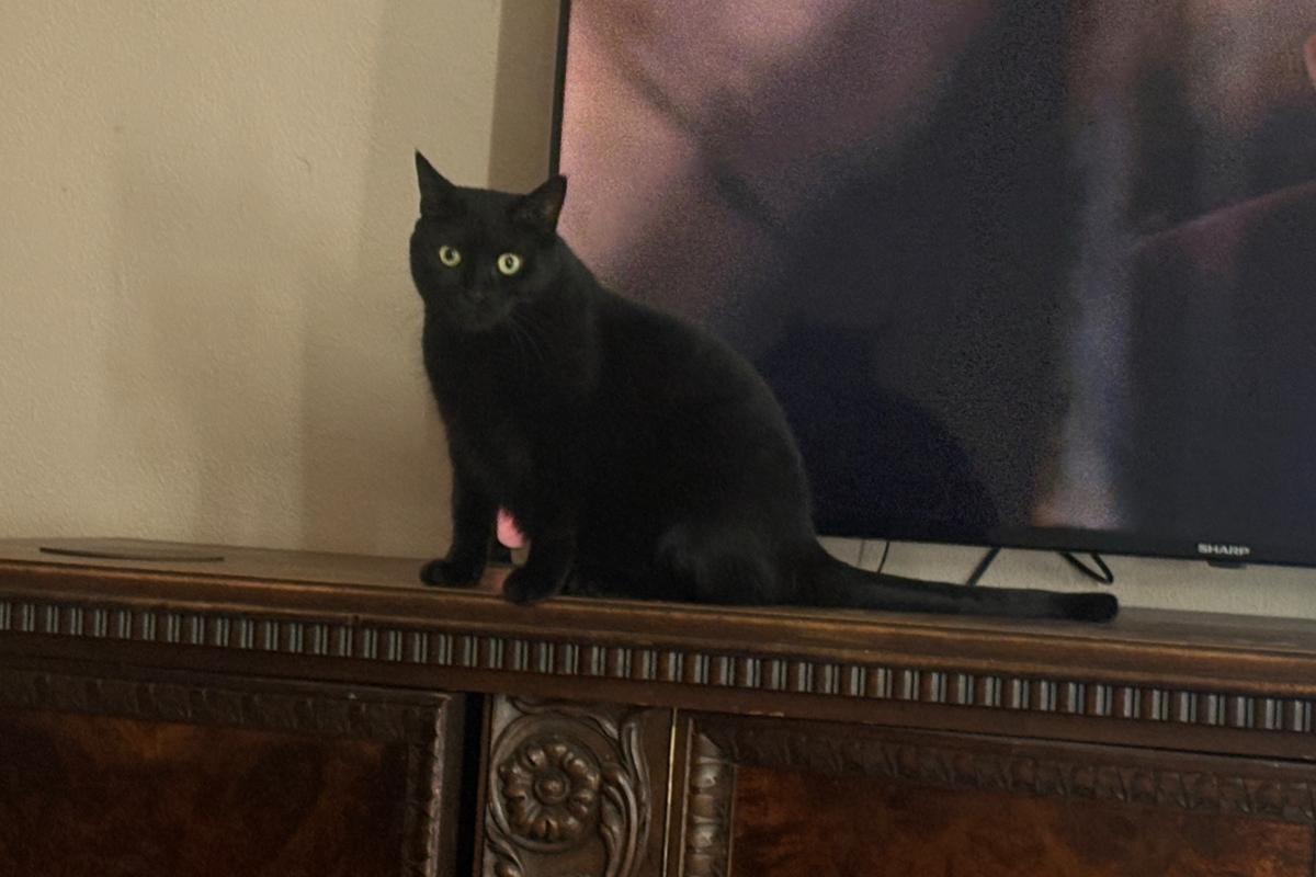 Coco