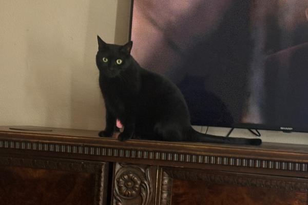 Coco