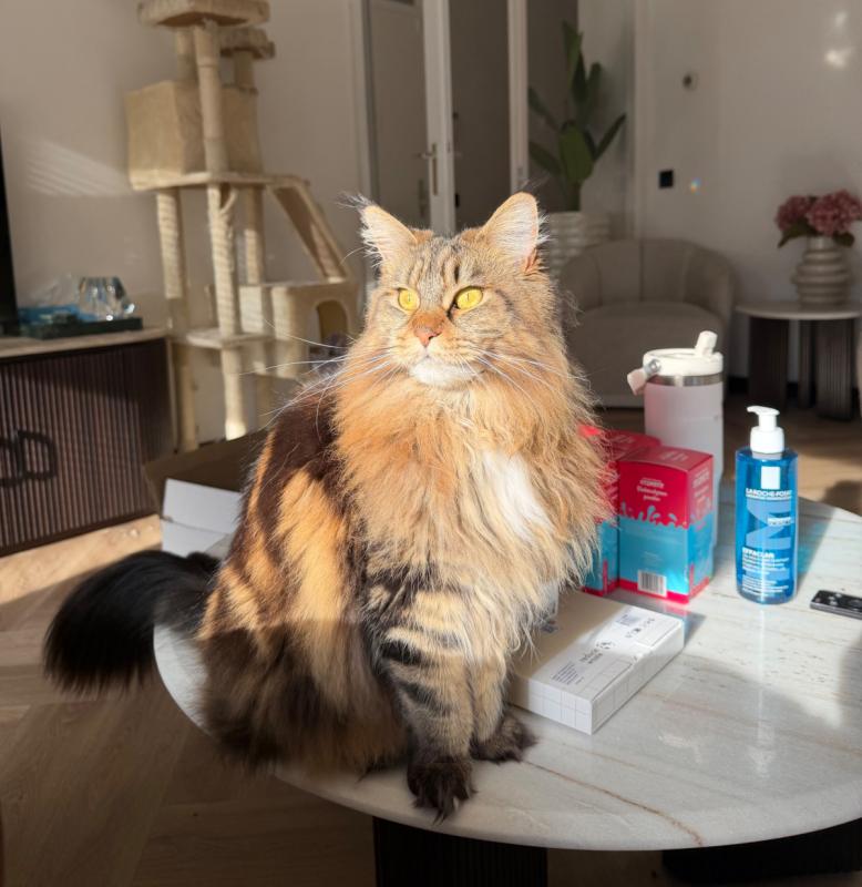 Nala