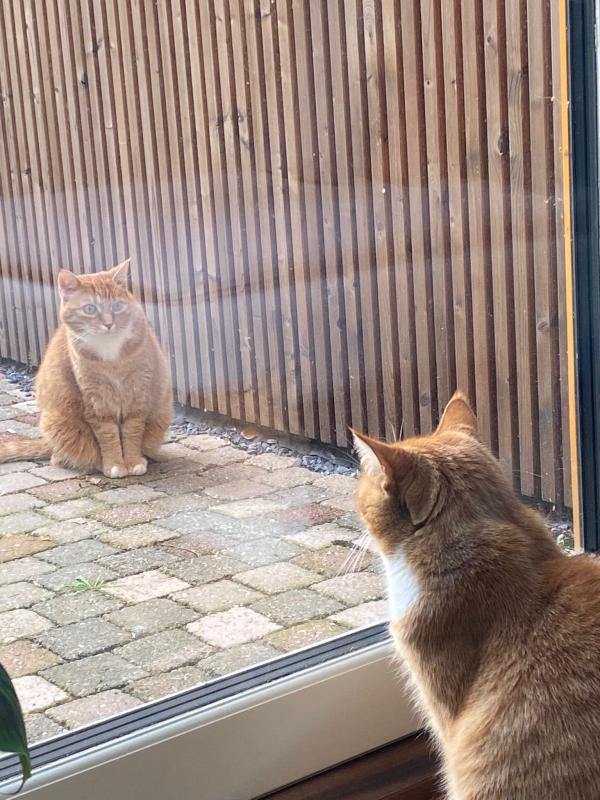 Teuntje & Henry