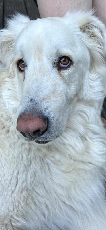 Joep