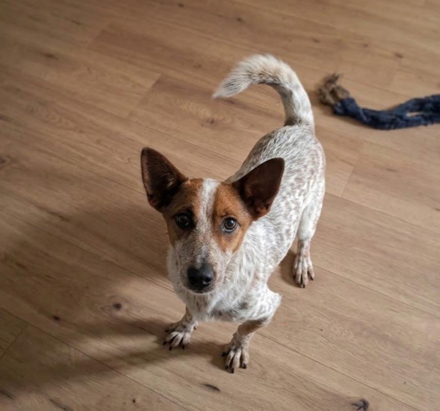 Max