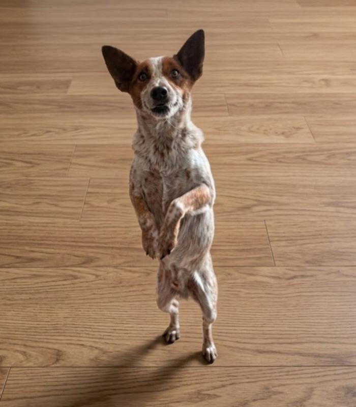 Max