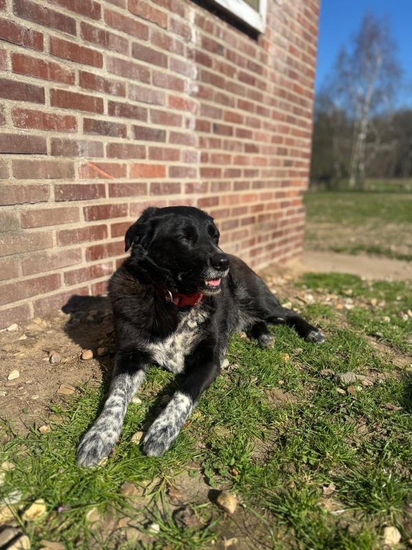 Lucy