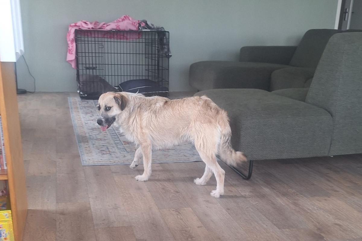 Coco
