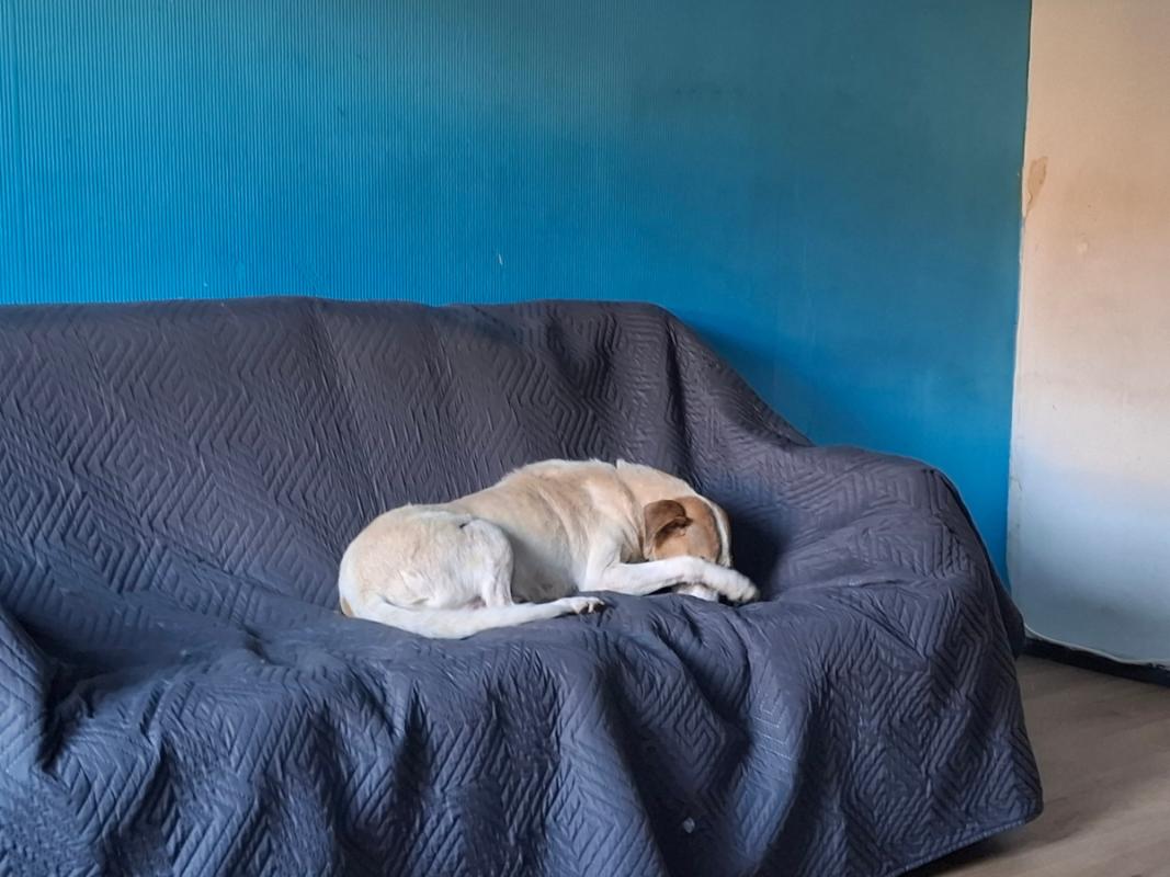 Bunna