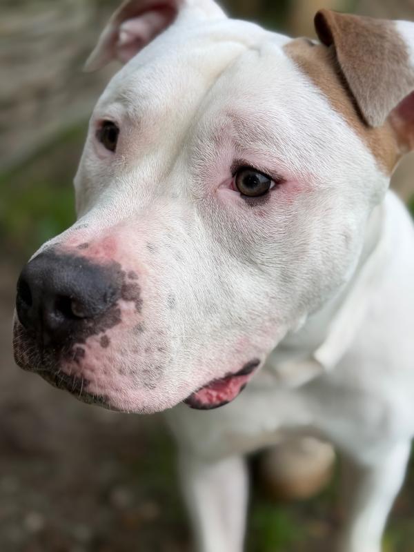Jaxx