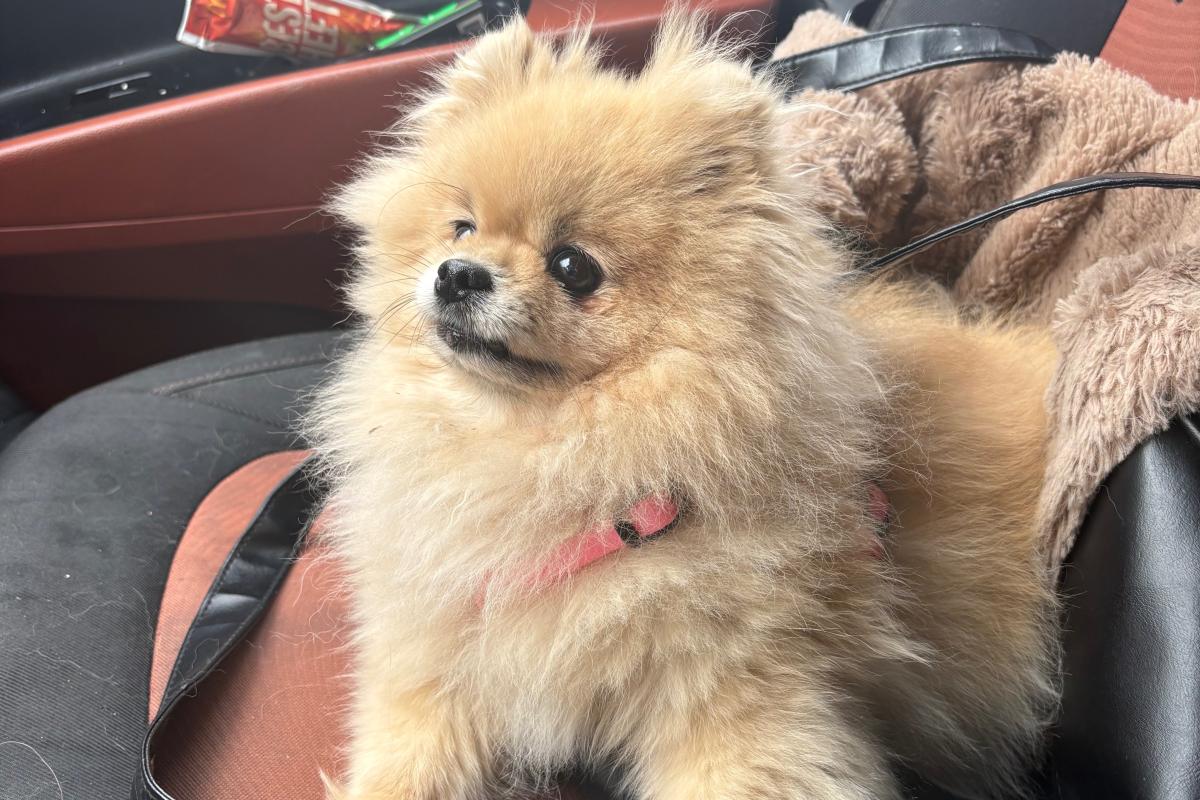 Nina