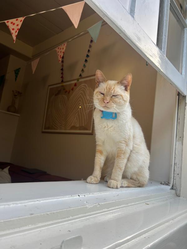 Keesje