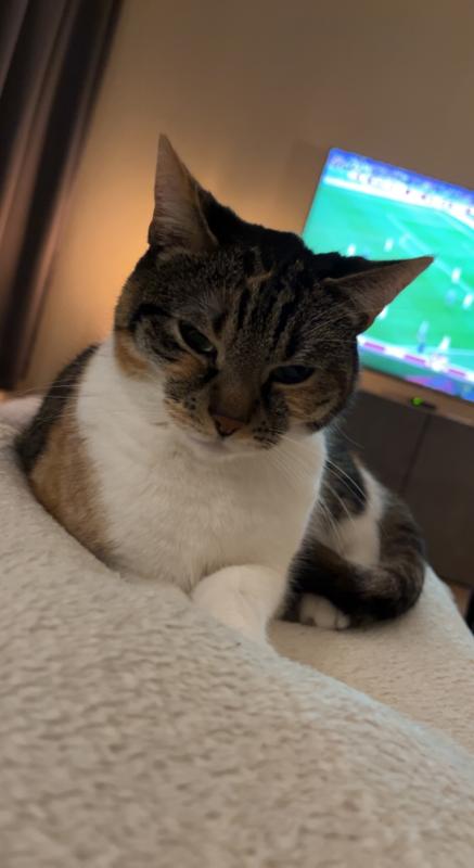 Milo